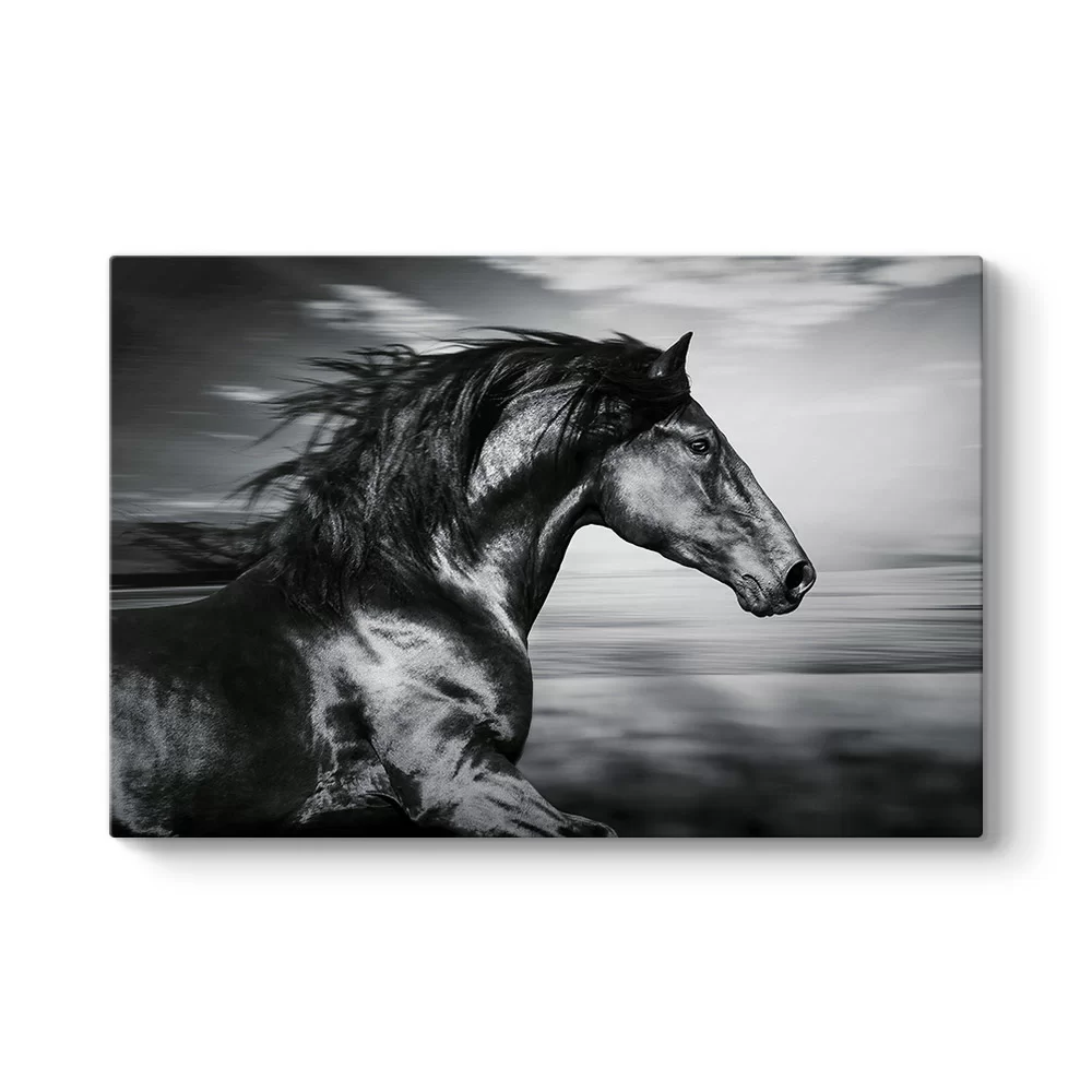 İspanyol Koşu Atı Kanvas Tablo - Model 1